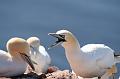 03_DP-2011-007 Bild0127c